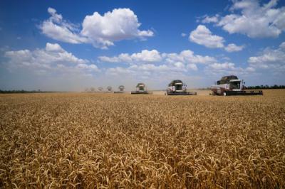 Рязанскому бизнесу расскажут, как «цифра» помогает сельском хозяйстве